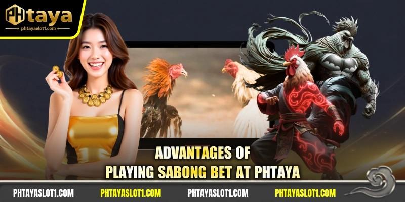 Advantages of playing sabong bet at PHTAYA