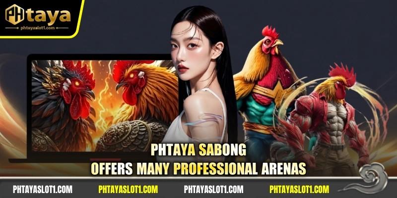 PHTAYA sabong offers many professional arenas